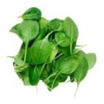 Spinch/పాలకూర